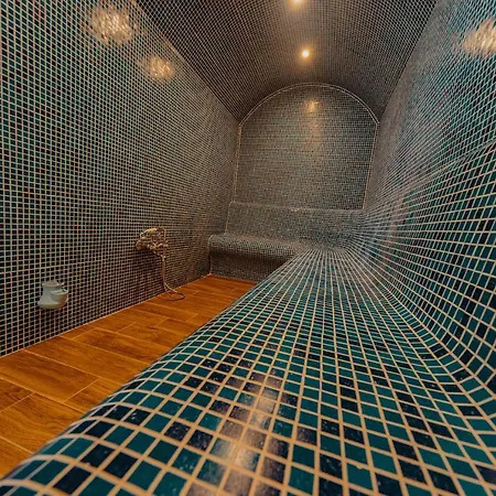 ホテル Seven Springs *